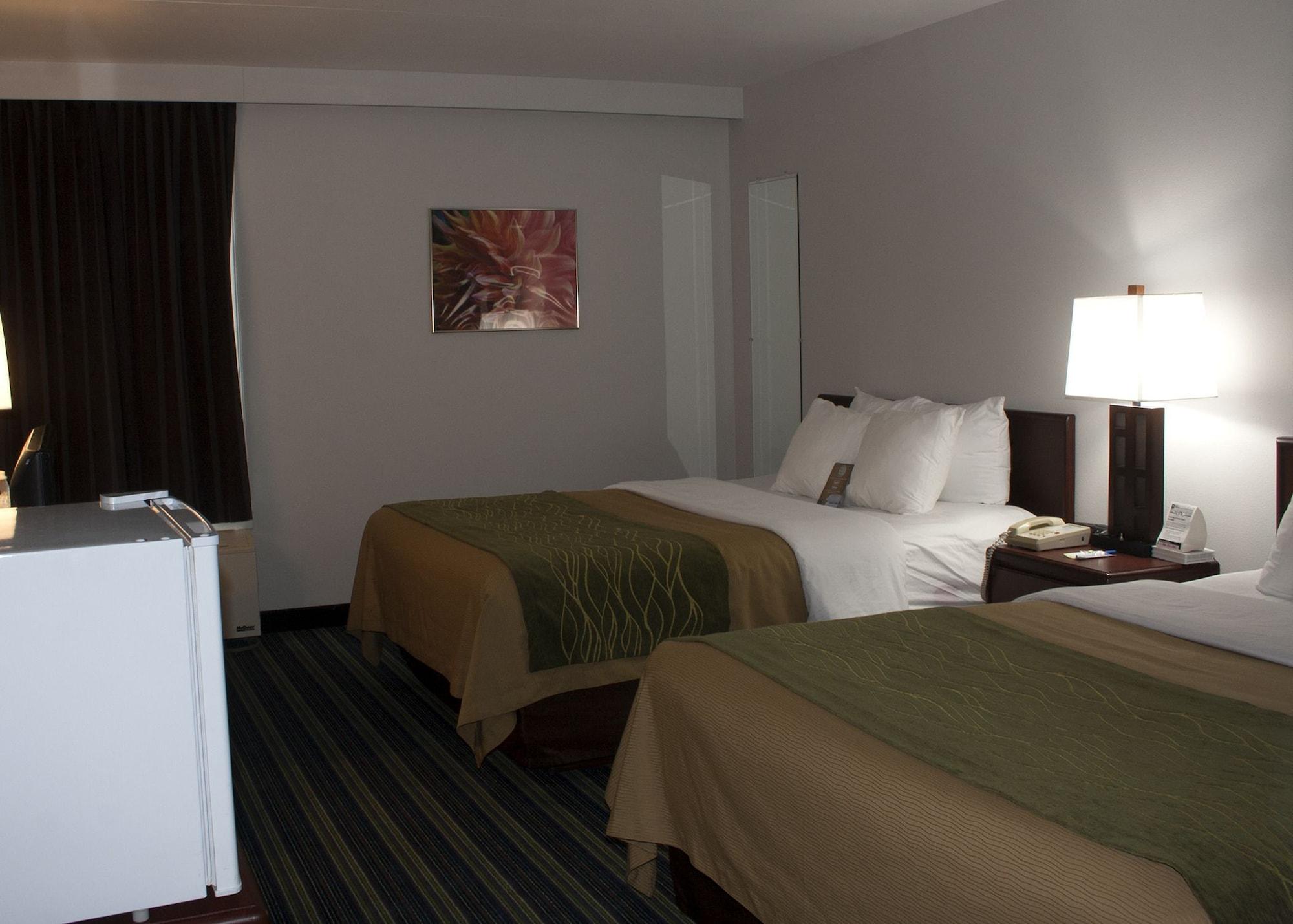 מוס ג'או Comfort Inn & Suites מראה חיצוני תמונה